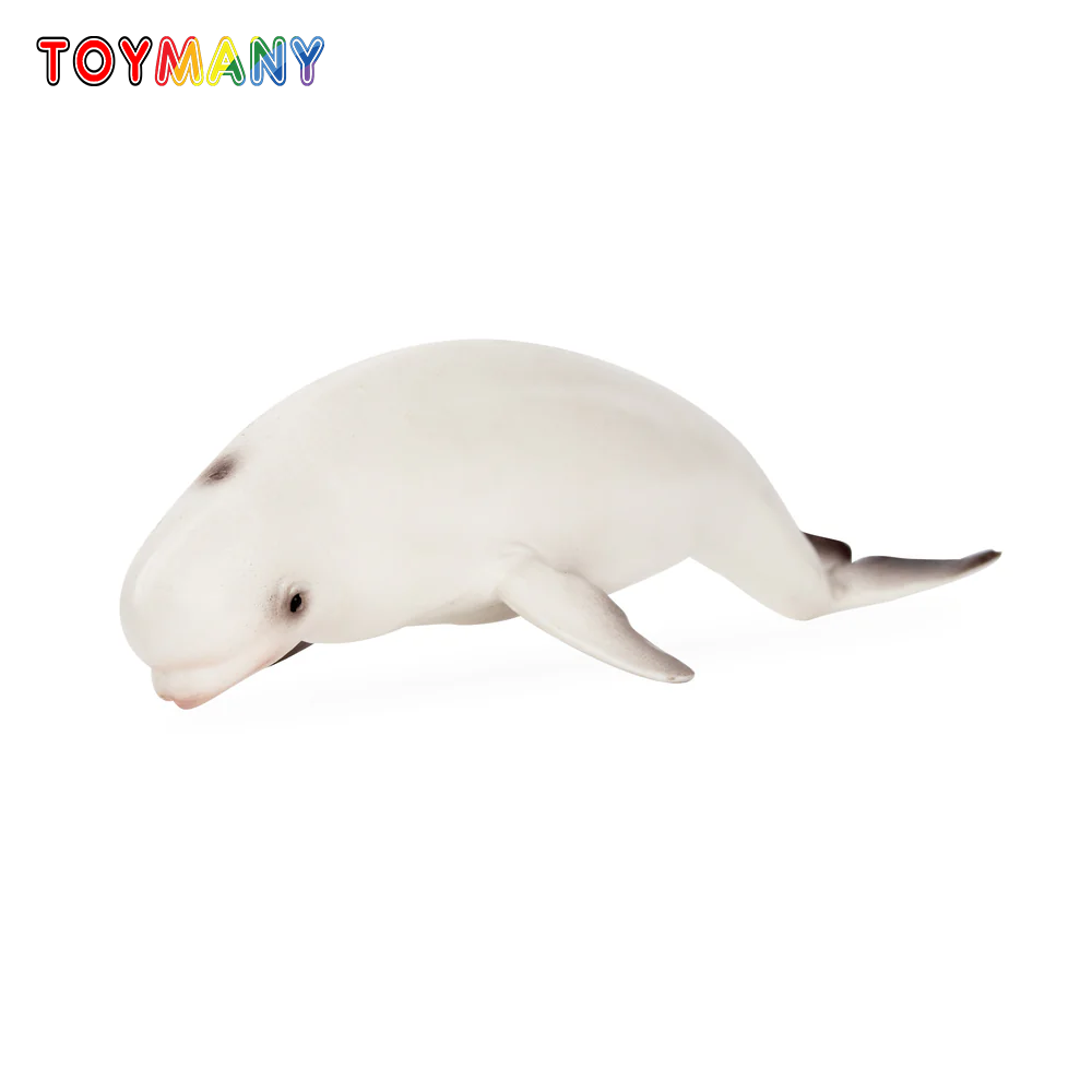 Kids Toys Under $5 - Toymany Simulazione Beluga Balena Oceano Modello