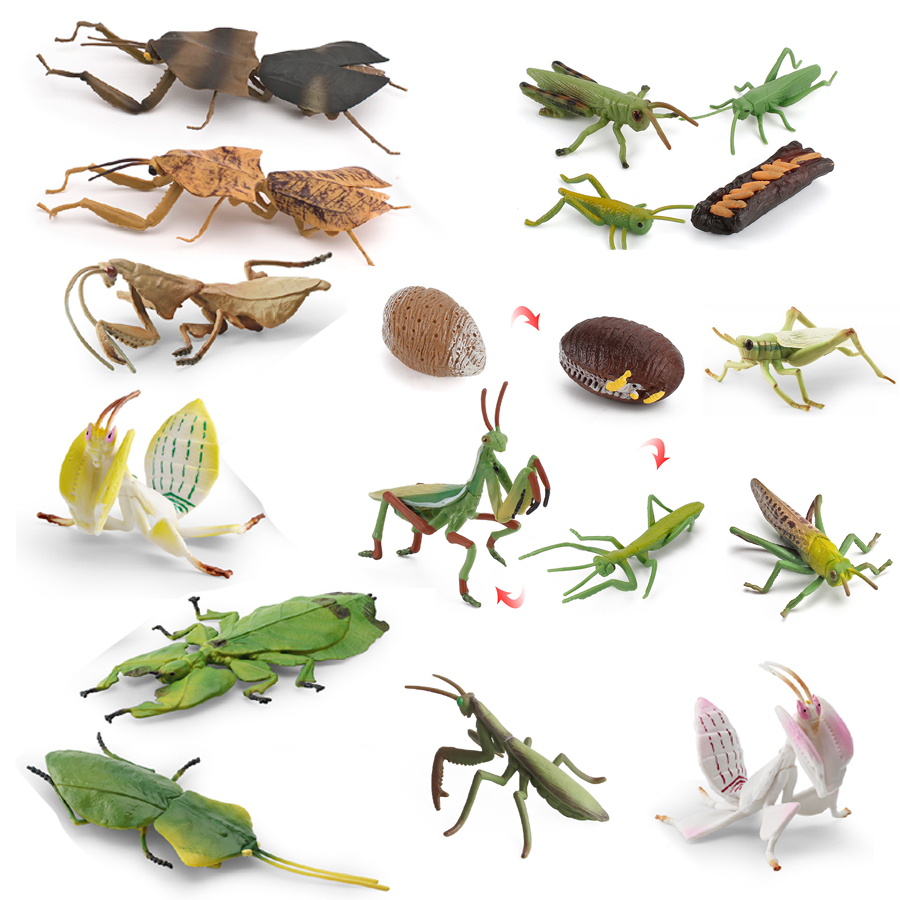 Kids Toys Under 1 Year - Modello Realistico di Mantis Orchidea, Mantis