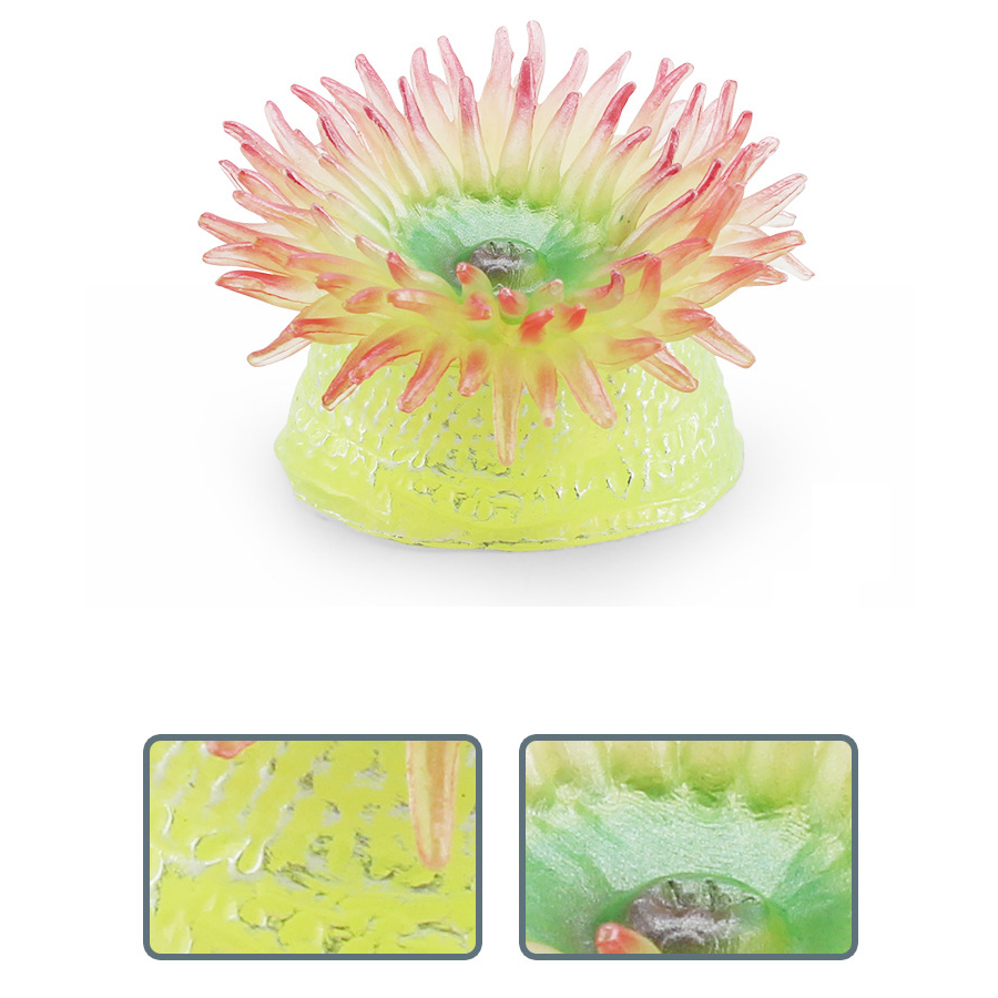 Anemoni marini di corallo real - Kids Toys Under 1 Year recensione e prezzo