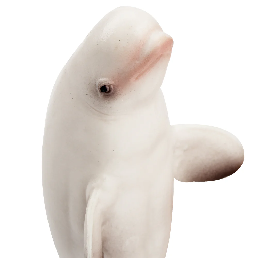 Toymany Simulazione Beluga Bal - Kids Toys Under $5 recensione e prezzo