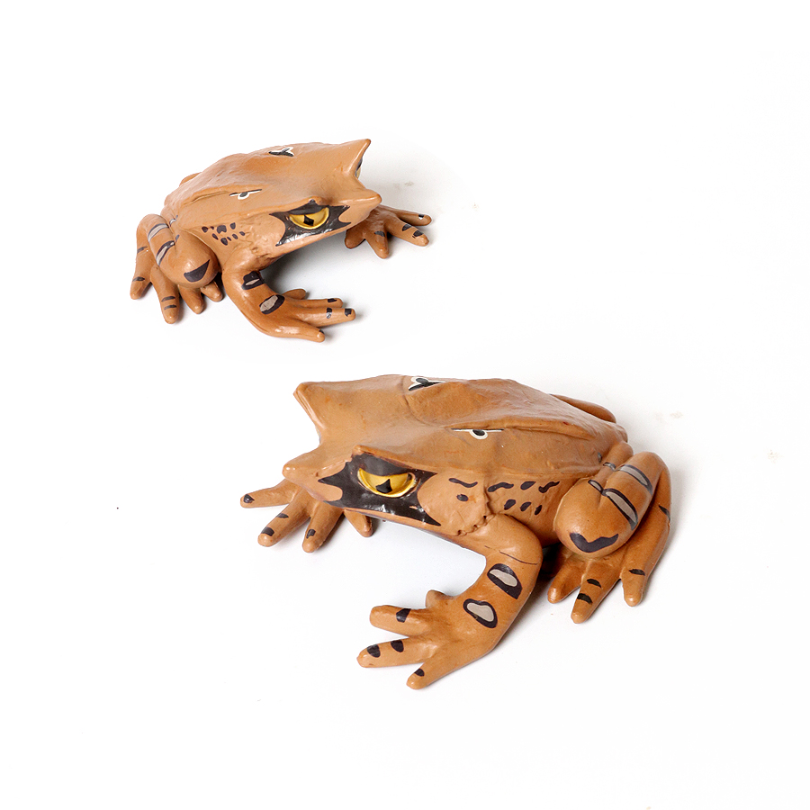 Foresta pluviale Animali Rane  - Kids Toys Under 1 Year recensione e prezzo