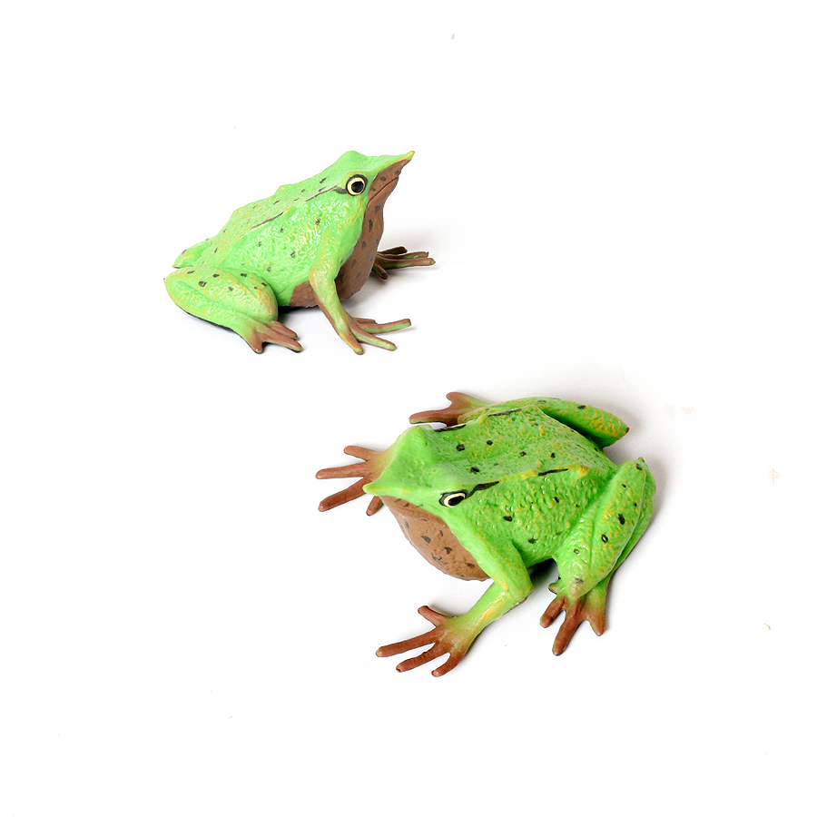 Foresta pluviale Animali Rane  - Kids Toys Under 1 Year recensione e prezzo