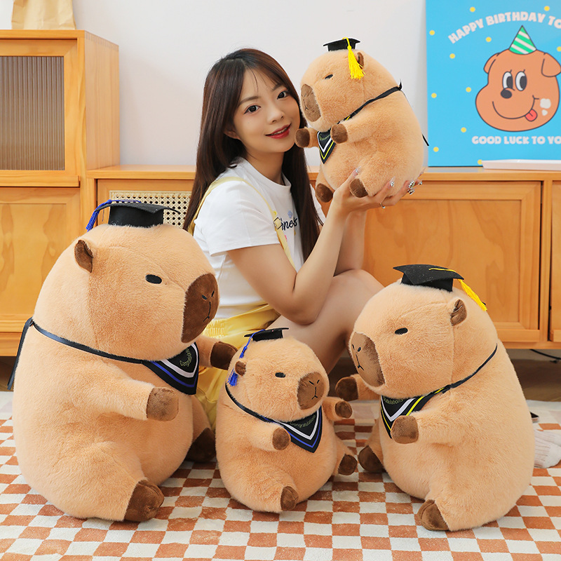 Peluche Capibara Dottore Regal - Kids Toys In Wholesale recensione e prezzo