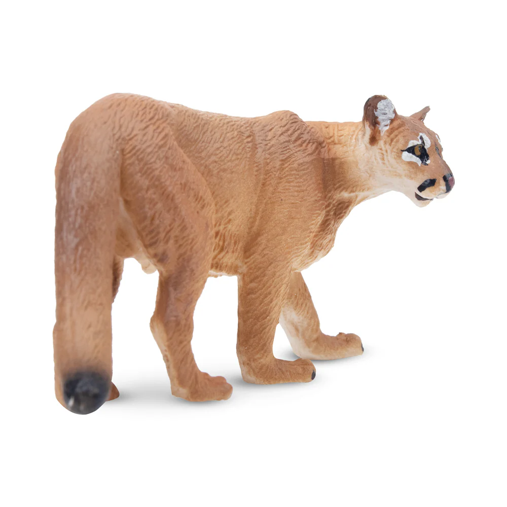Toymany Simulazione Cougar Fau - Kids Toys Under $5 recensione e prezzo