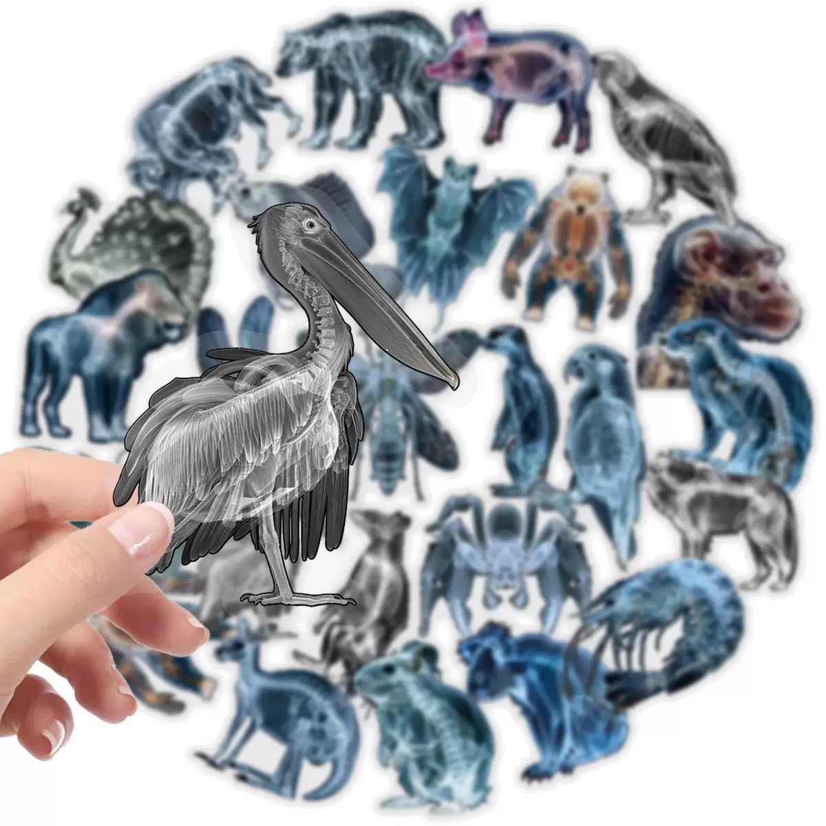 10/56pcs Scheletro Animale Ade - Kids Xray Toys recensione e prezzo