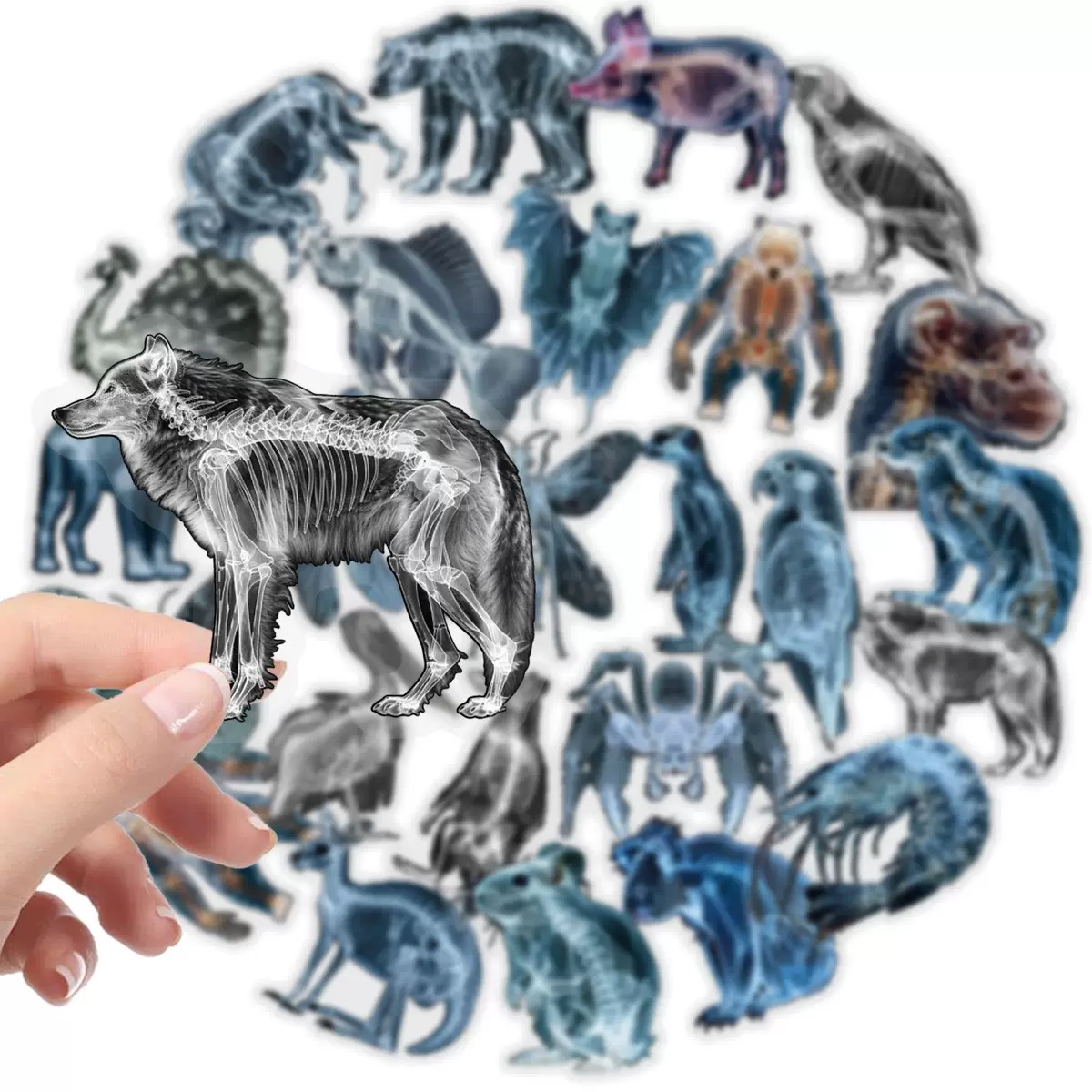 10/56pcs Scheletro Animale Ade - Kids Xray Toys recensione e prezzo