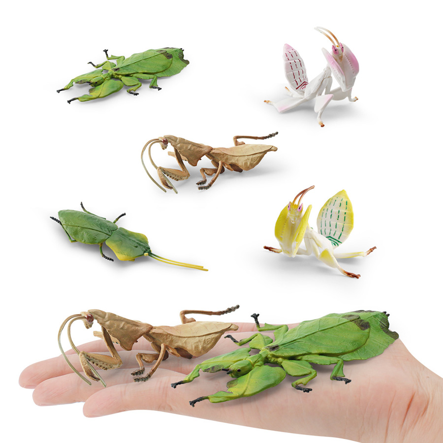 Modello Realistico di Mantis O - Kids Toys Under 1 Year recensione e prezzo